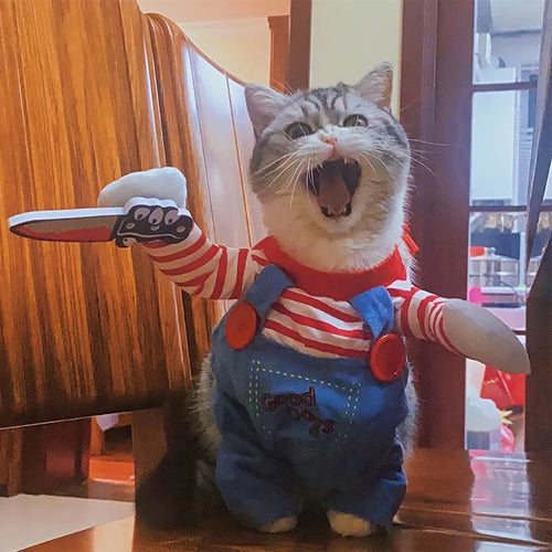 Chucky Halloween Costume for Cats & Small Dogs